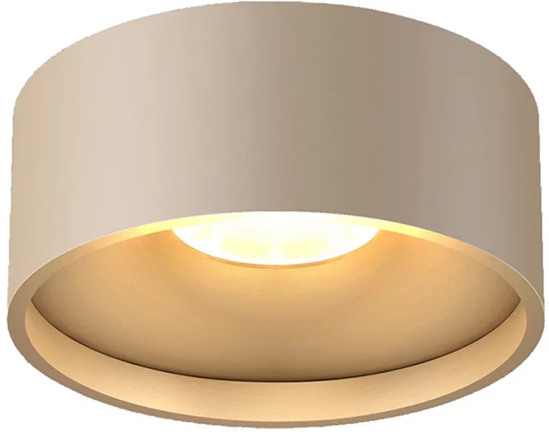 Moderne LED Plafonnieres Oran 1 Lichtpunt Rond Aluminium Slaapkamer Gang/Hal Badkamer Keuken Dimbaar IP54 de Artdelight en Champagne – photo produit