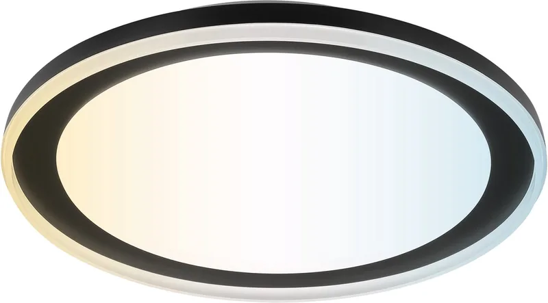 Pederson - Plafondlamp - LED 26W - 2700K-6500K by Brilliant in Black – product photo