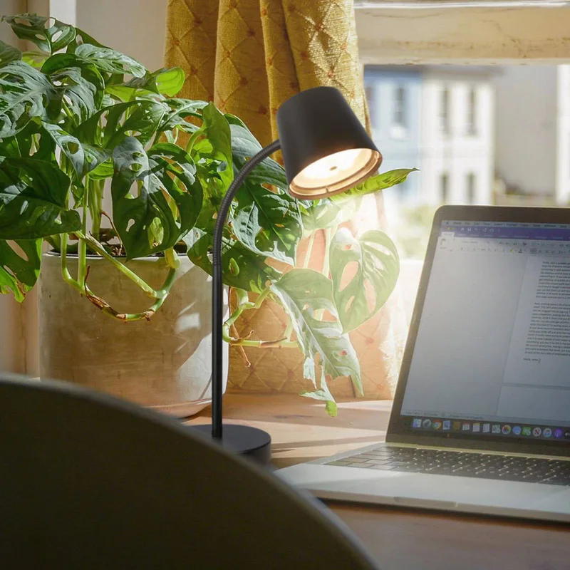 Biwo LED tafellamp op accu, touchdimmer, metaal von Briloner in Schwarz – Produktfoto