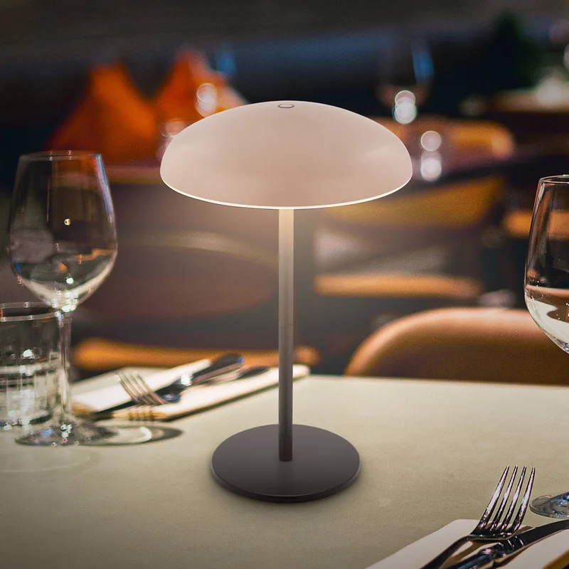 LED tafellamp op accu Brilo unplugged Caxa 30, beige/antraciet de Briloner en Beige, Anthracite – photo produit