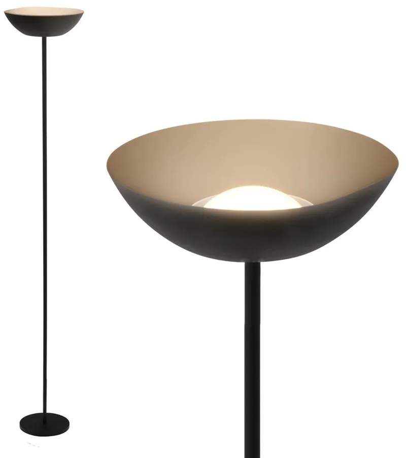 Oplaadbare Vloerlamp - voor woonkamer - akku staanlamp - dimbaar - usb-c staande lamp de Briloner en Noir – photo produit