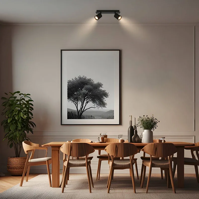 Plafondspot Ida, zwart, 2-lamps, kunststof/metaal de Briloner en Matzwart – photo produit