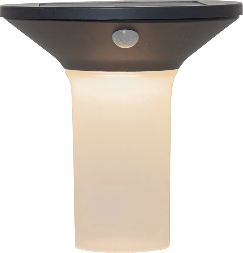 Corbezzola Wandlamp Buiten - Solar - 16 cm - Sensor - Grafiet/Wit de EGLO en Grafiet – photo produit