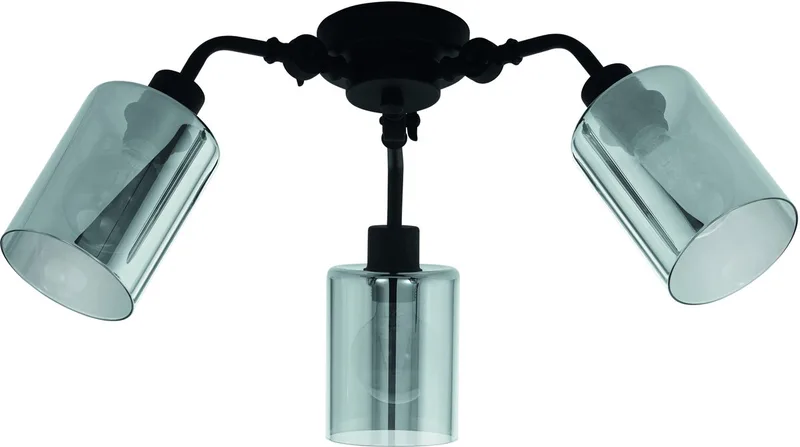 Forestburg Plafondlamp - E27 - Ø 66,5 cm de EGLO en Noir – photo produit