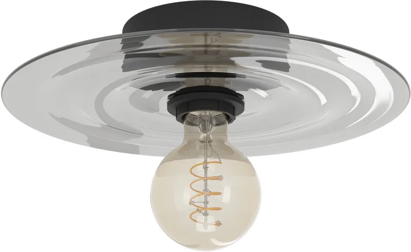 Lintmill Plafondlamp - Wandlamp - E27 - Ø 30 cm - Zwart | Grijs de EGLO en Noir – photo produit