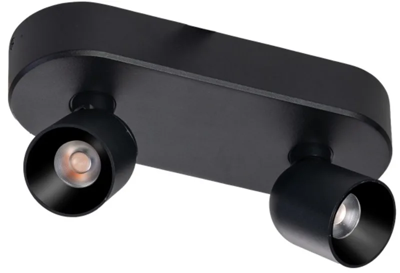 Dennis Spot ovaal 2L 8W Dimbaar 2700K 240x90x110cm de ETH en Noir – photo produit
