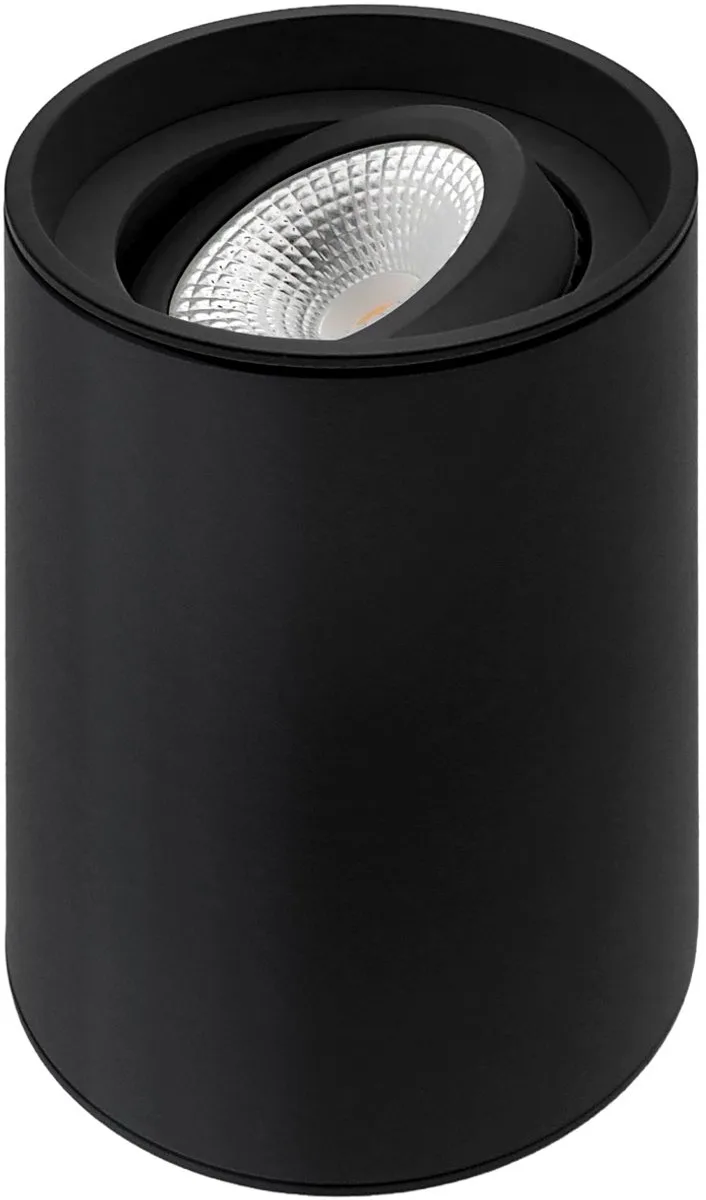 Viggo Opbouwspot rond kantelbaar 51mm D80xH115mm + GU10 fitting de ETH en Noir – photo produit