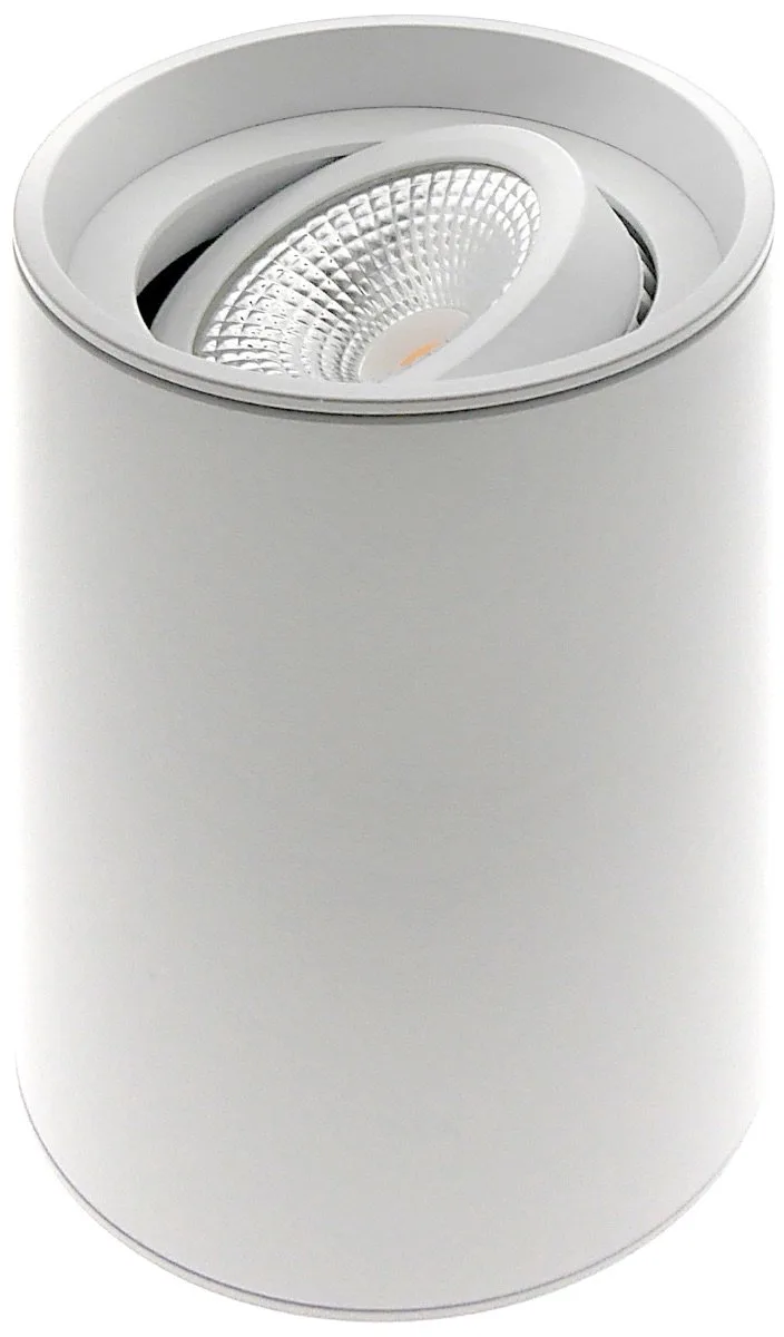 Viggo Opbouwspot rond kantelbaar 51mm D80xH115mm + GU10 fitting de ETH en Blanc – photo produit