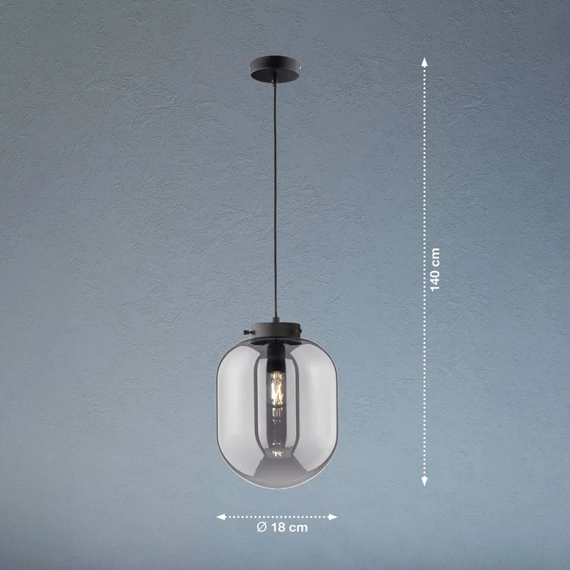 Hanglamp Regi, 1-lamp, Ø 18 cm van Fischer & Honsel in Mat zwart, Rookgrijs-transparant – productfoto