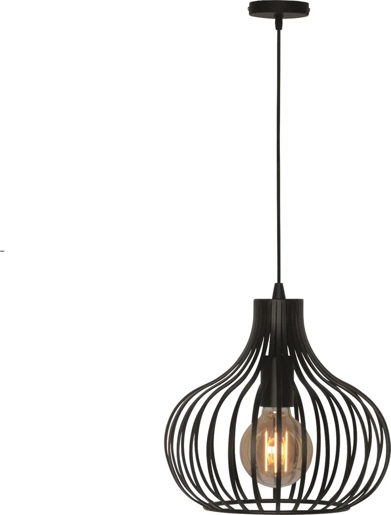 Agila hanglamp 1 lichts d: 28cm - Modern de Freelight en Noir – photo produit
