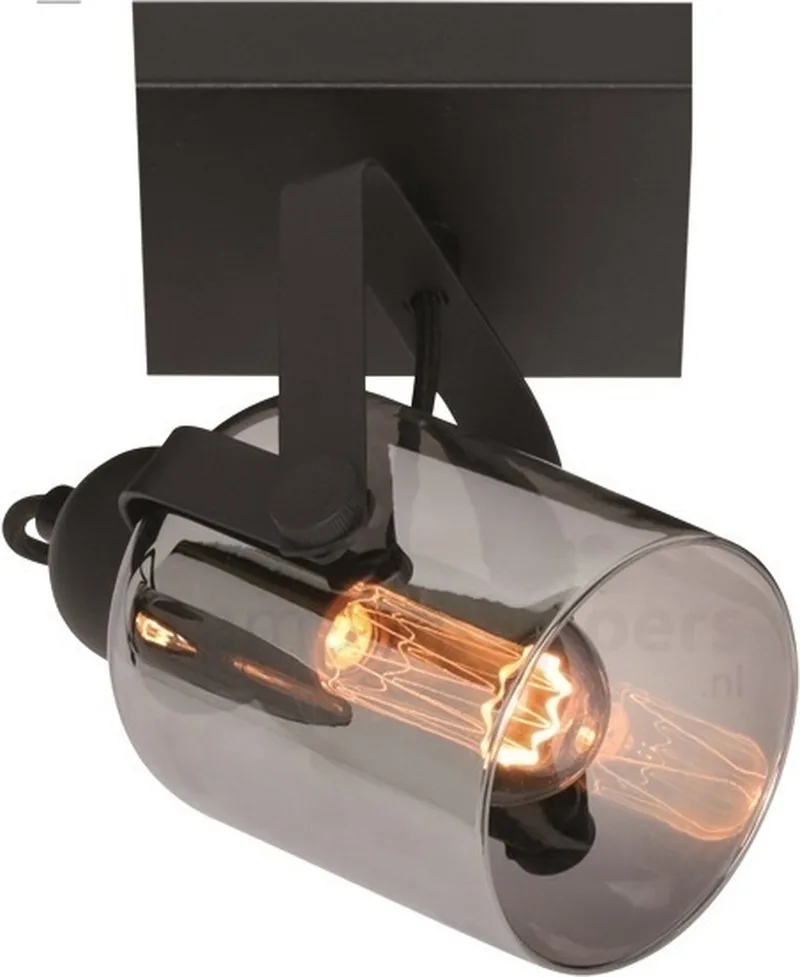Spot Fumoso met Smoke Glas 1 Lichts fra Freelight i Sort – produktbillede