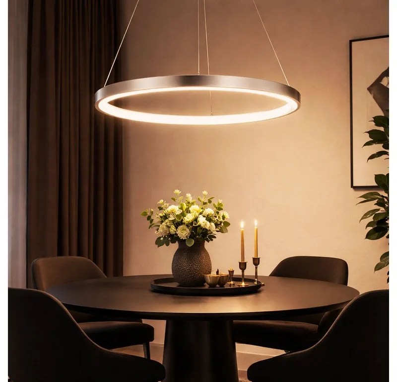 LED Pendelleuchte, LED-Leuchtmittel fest verbaut, Warmweiß, Pendelleuchte Ring silber Hängeleuchte rund LED de Globo en Argent – photo produit