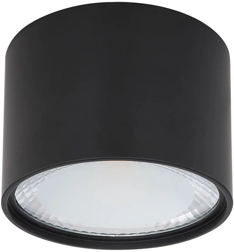 Lighting Deckenleuchte von Globo in Schwarz – Produktfoto 1 von 3