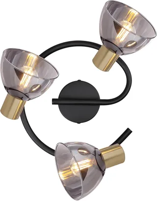 Spot - Jay - glas metaal smoke glas - Ø 25cm - E14 - 54305-3 de Globo en Noir – photo produit 1 sur 3