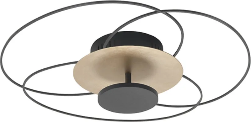 Fiore - Plafondlamp - LED - 52 x 52 x 12cm de Highlight en Noir – photo produit