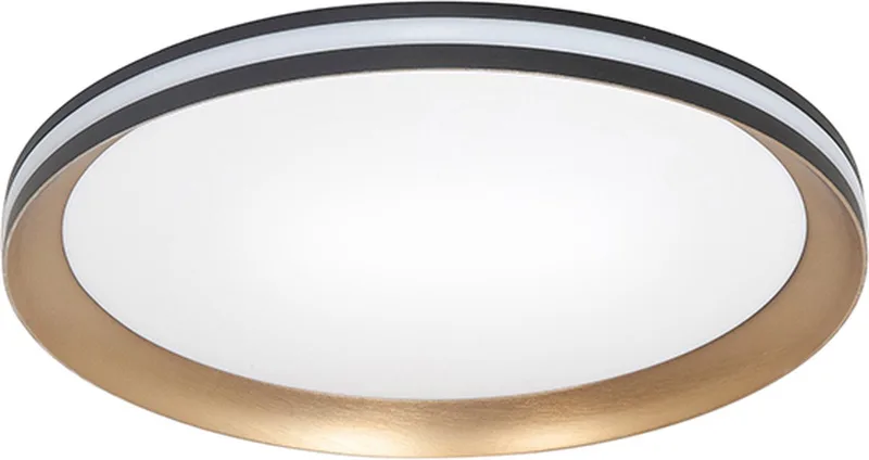 Moderne LED Plafonnieres Twilight 1 Lichtpunt Rond Metaal Slaapkamer Gang/Hal Keuken Dimbaar Diameter 30cm de Highlight en Or, Noir – photo produit