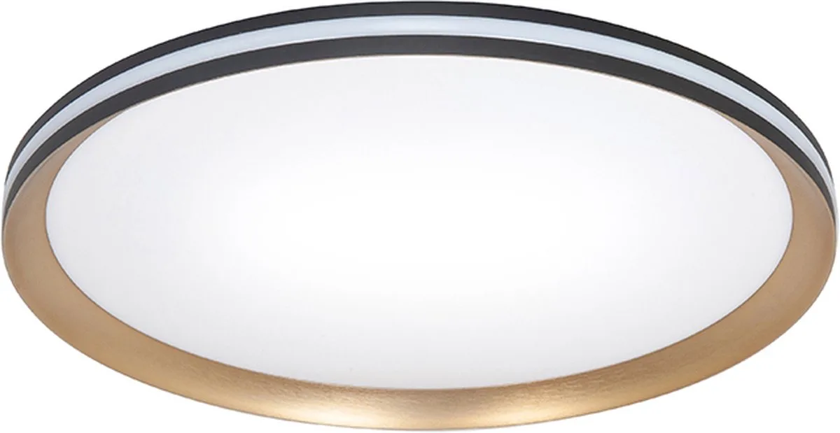 Moderne LED Plafonnieres Twilight 1 Lichtpunt Rond Metaal Slaapkamer Gang/Hal Keuken Dimbaar Diameter 40cm de Highlight en Or, Noir – photo produit