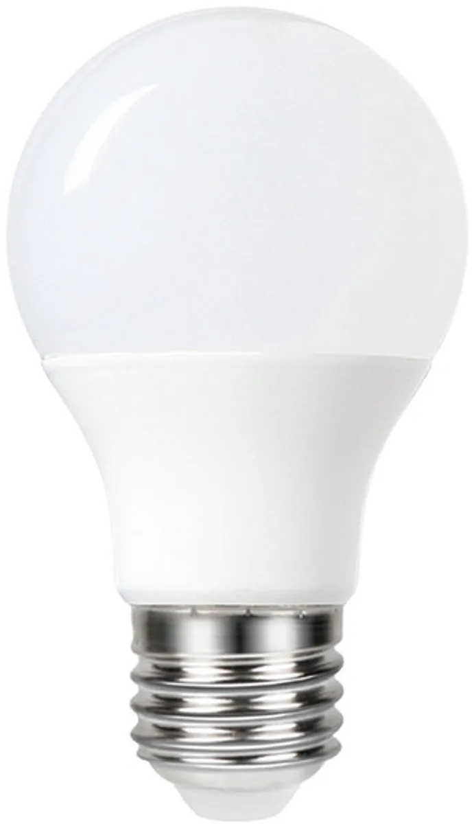 Standaard bol - E27 - 4.8W - Helder Wit - 5000K - Opaal de Integral LED – photo produit