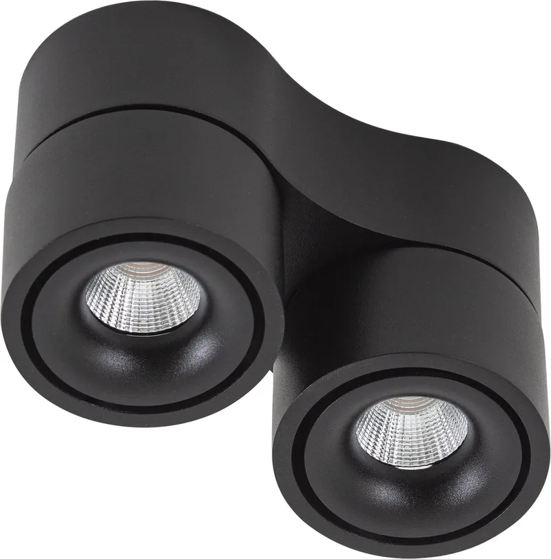 Ole 2 Opbouwspot van KS Verlichting in Zwart – productfoto