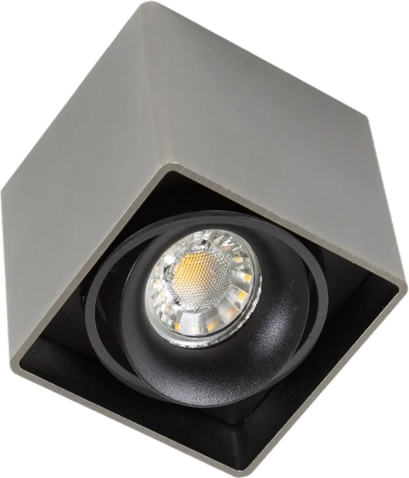 Opbouwspot Richtbaar Bjorn 1 de KS Verlichting en Gun Metal – photo produit