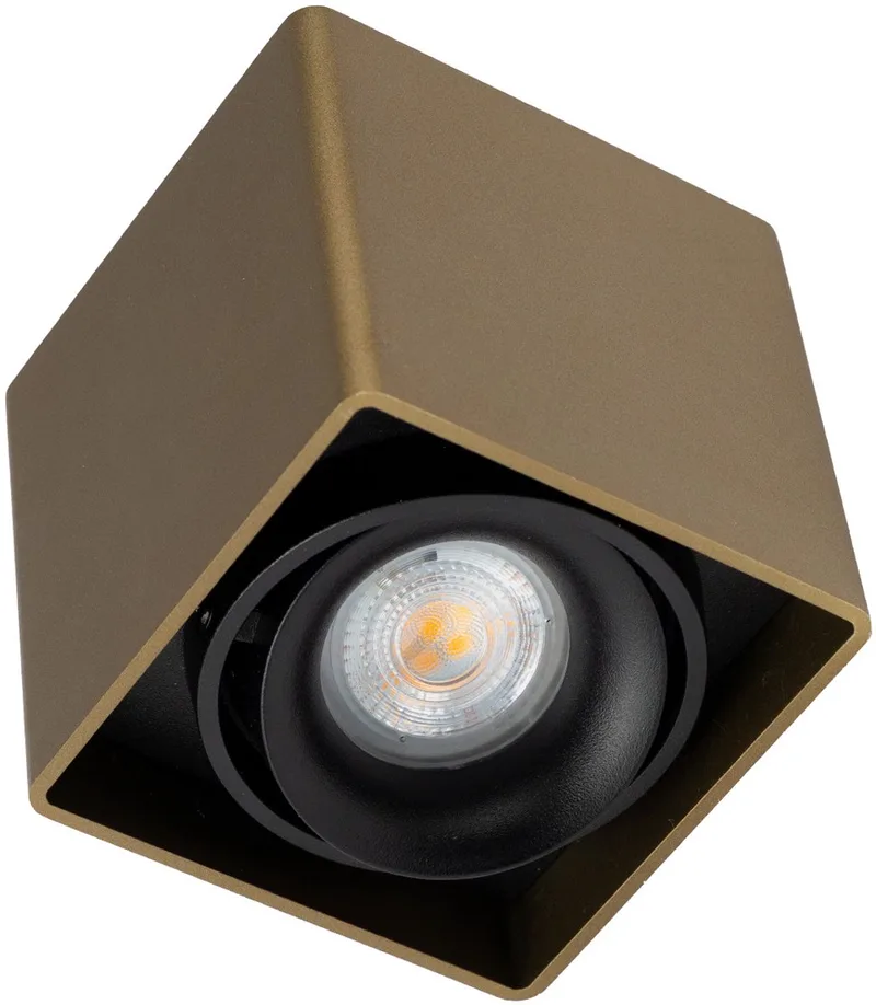 plafondlamp - Bjorn opbouwspot - Binnenverlichting - Richtbaar - Modern by KS Verlichting in Bronze – product photo