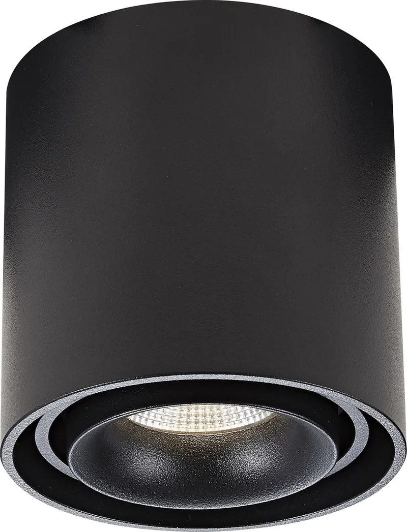 plafondlamp - Bjorn - ronde spot - GU10 - dimbare lamp - opbouwspot - aluminium de KS Verlichting en Noir – photo produit