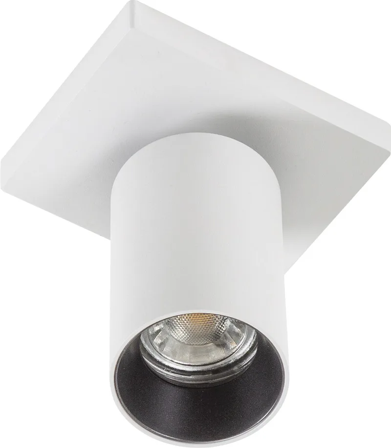 plafondlamp - Mila - spot - GU10 - dimbare lamp - opbouwspot - aluminium de KS Verlichting en Blanc – photo produit