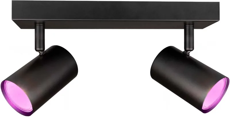 LED Plafondspot - 2-lichts - Dimbaar - 5W - GU10 - IP20 van Ledvion in Zwart – productfoto
