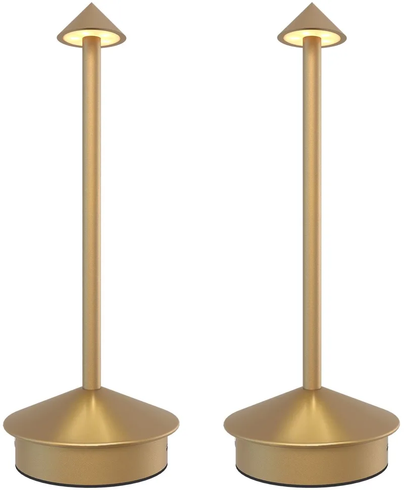 Ledvion - 2x Oplaadbare Tafellamp Alba - LED - Dimbaar - IP20 - USB de Ledvion en Or – photo produit