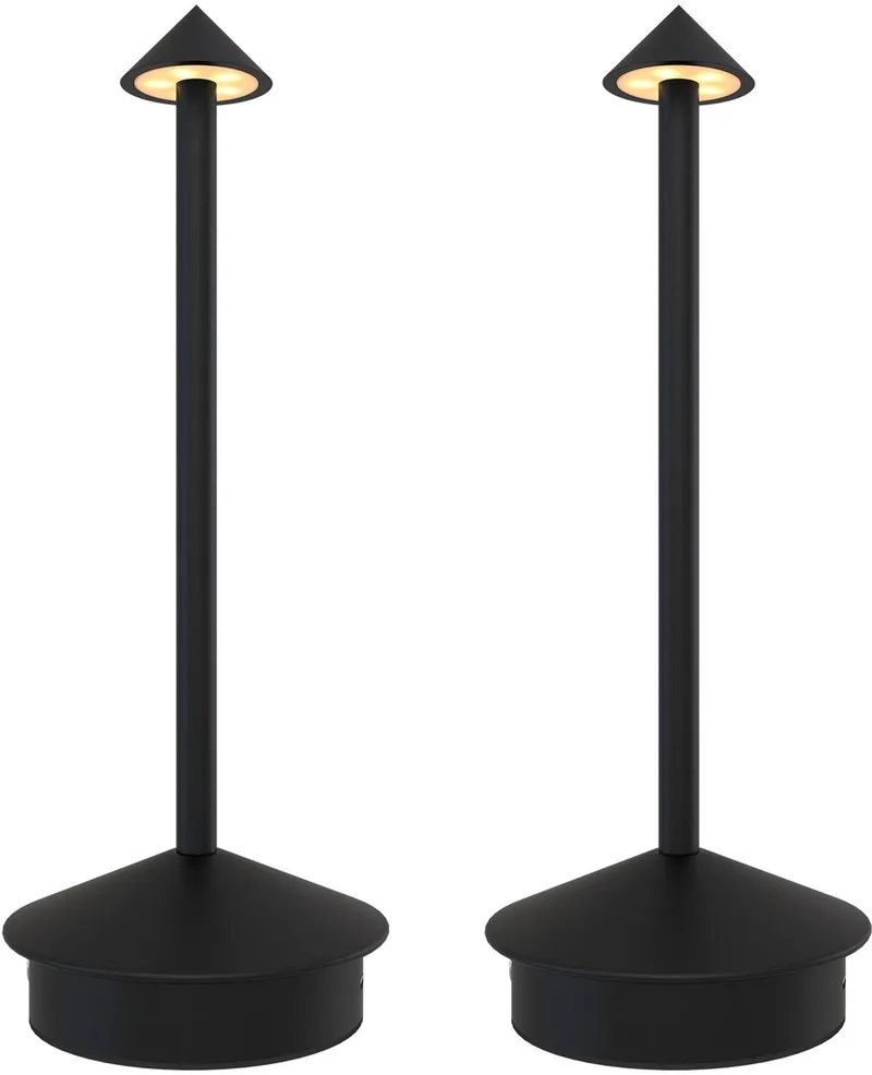 Ledvion - 2x Oplaadbare Tafellamp Alba - LED - Zwart - Dimbaar - IP20 - USB de Ledvion en Mat zwart – photo produit