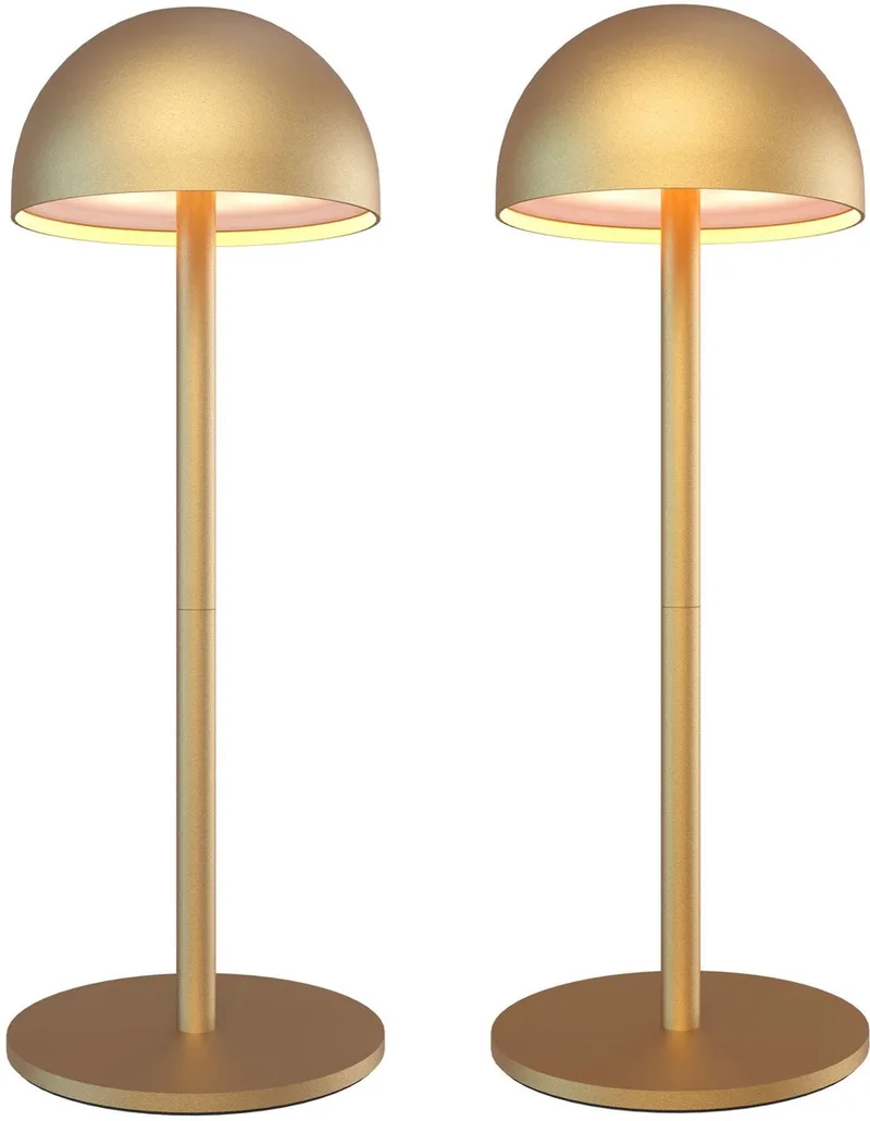 Ledvion - 2x Oplaadbare Tafellamp Vita - LED - Dimbaar - IP54 - USB de Ledvion en Or – photo produit