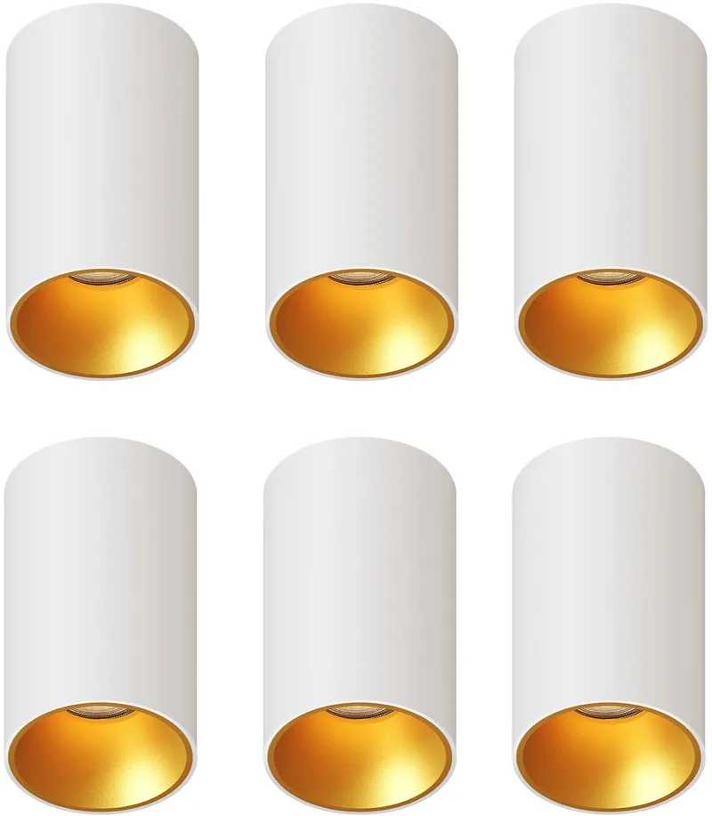 Ledvion – 6x LED Opbouwspot Rond ø80mm – Goud – Dimbaar – GU10 – 2700K – 3W – IP20 de Ledvion en Blanc – photo produit