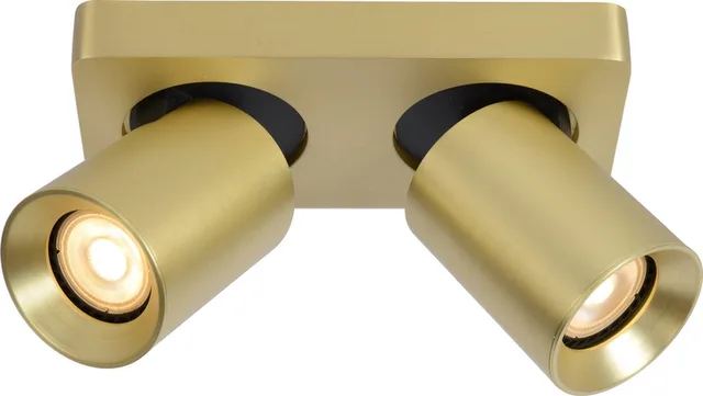 NIGEL - Plafondspot (Plafondlamp) - LED Dim to warm - GU10 (MR16) - 2x5W 2200K/3000K - Mat Goud / Messing