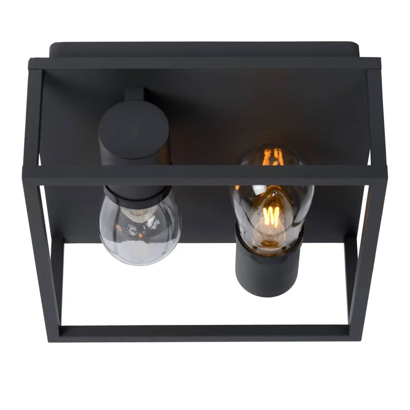 Plafondlamp Carlyn badkamer 2-lamps de Lucide en Noir – photo produit
