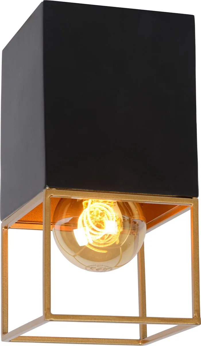 RIXT - Plafonnière (Plafondlamp) - 1xE27 fra Lucide i Sort – produktbillede
