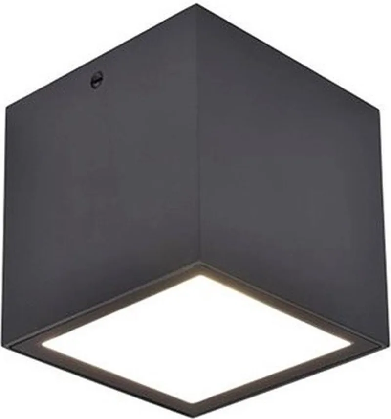 Gemini plafondlamp voor buiten - LED van Lutec in Donkergrijs – productfoto