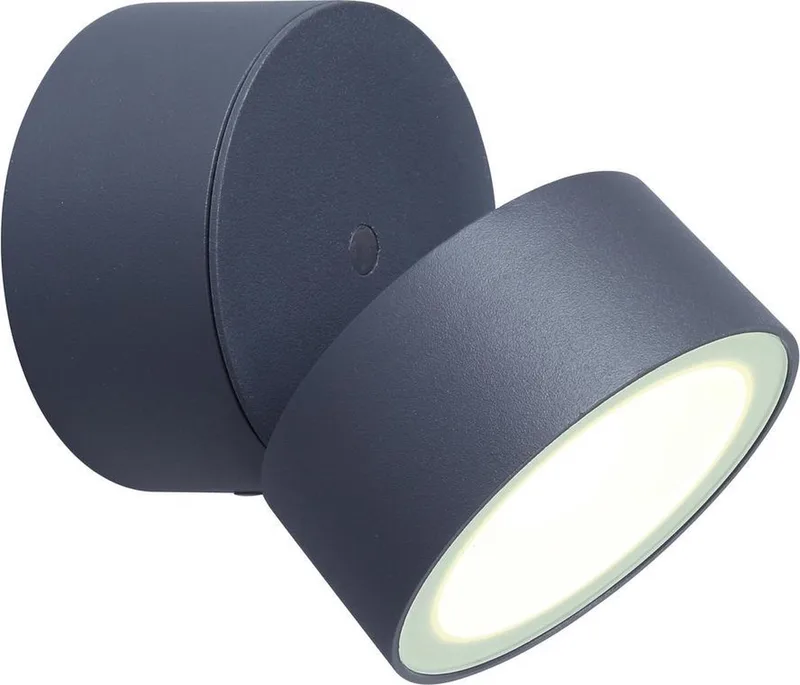 Trumpet - LED wandlamp voor buiten - Draaibare lamp - Premium aluminium - 900Lm krachtig licht - 4000K helder wit licht - IP54 extra weerbestendig - Donkergrijs van Lutec in Antraciet – productfoto