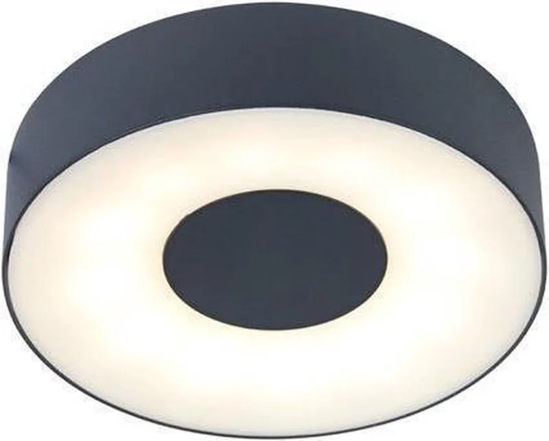 Ublo Ceiling & Wall Light - Large fra Lutec i Mat zilver – produktbillede