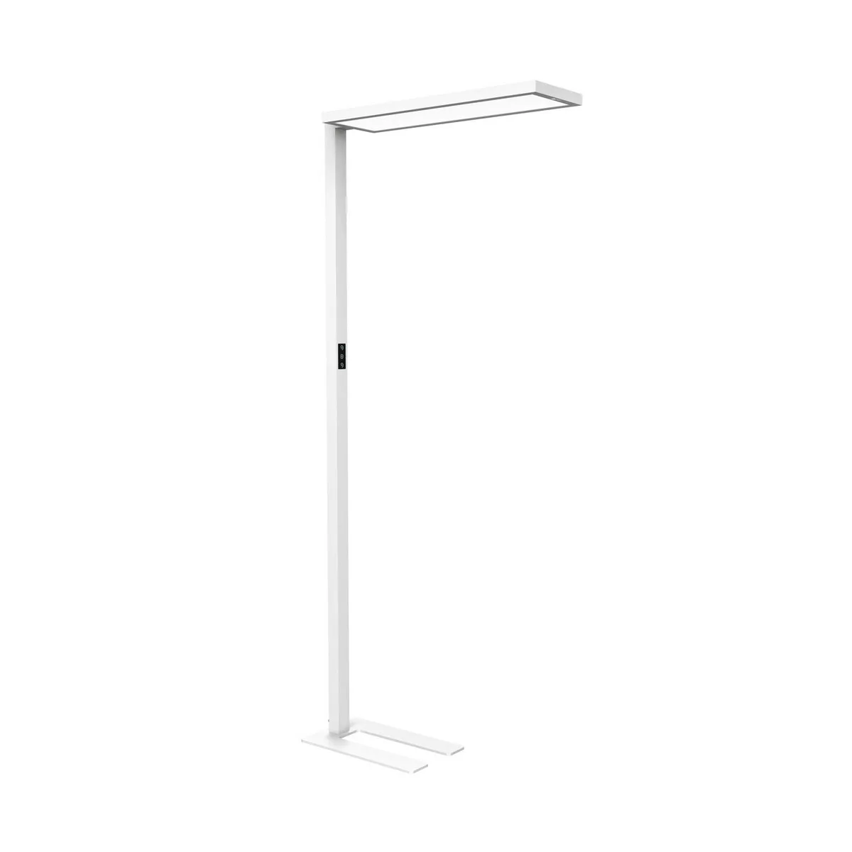 LED kantoor vloerlamp MAULsenja, sensor, hoogte 196 cm från Maul i Vit – produktbild