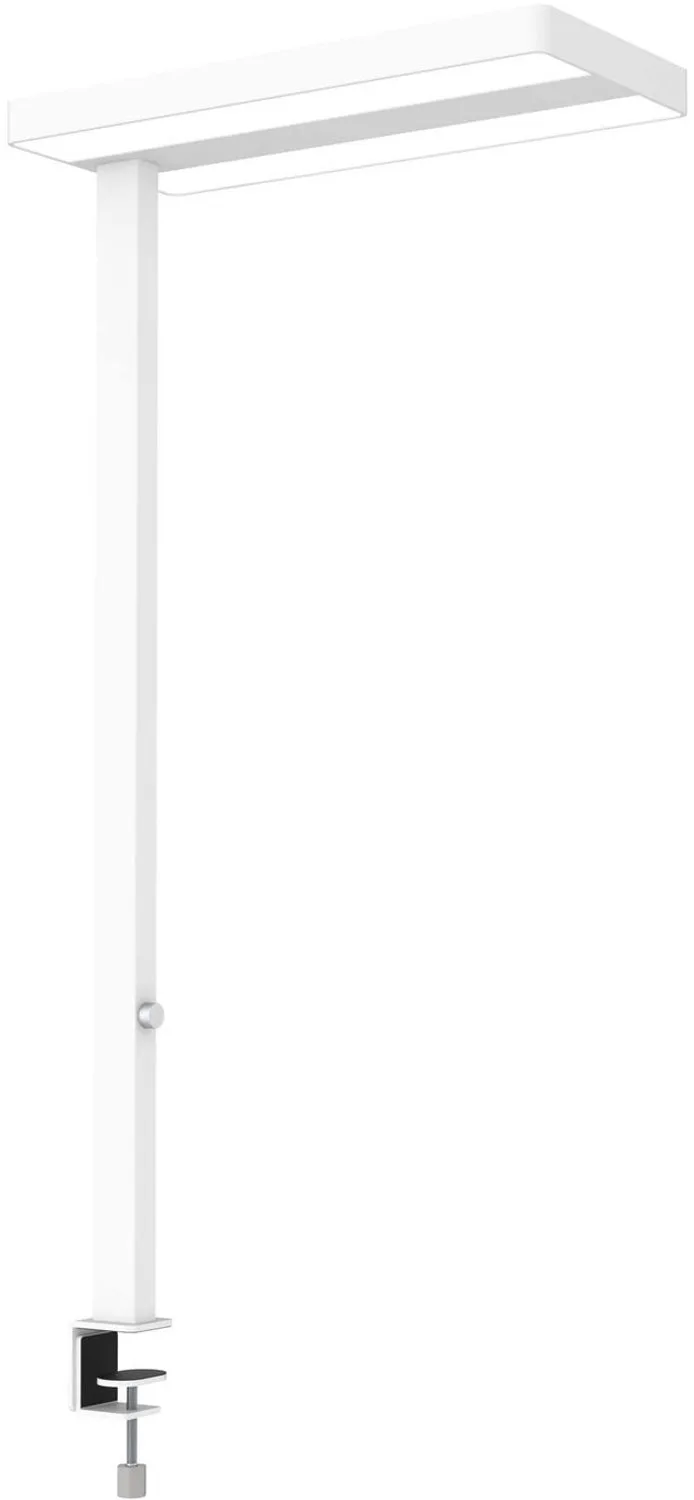 MAULjaval Bureaulamp - LED - Aluminium - Dimbaar - Tafellamp met Klem de Maul en Blanc – photo produit