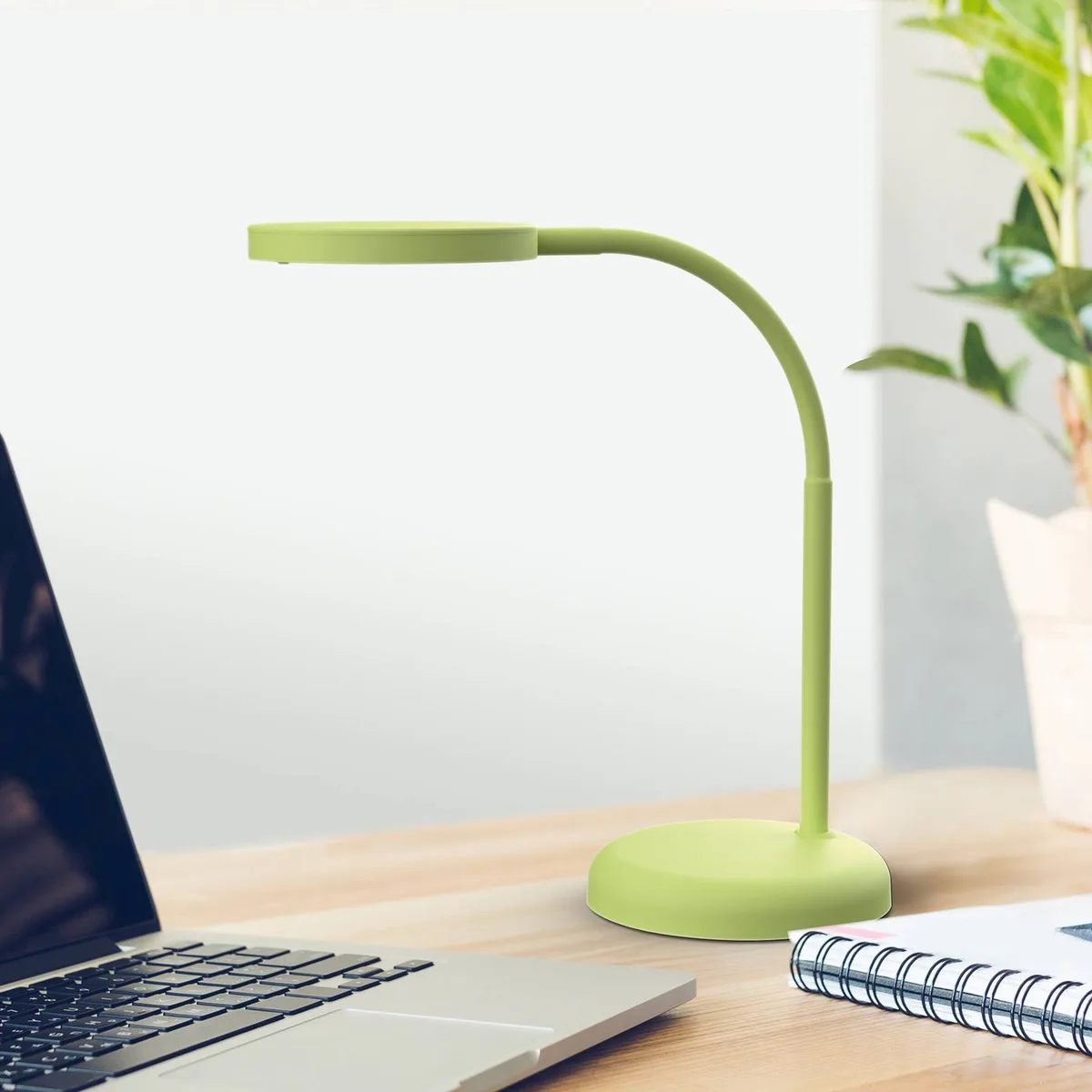 MAULjoy LED bordslampa från Maul i Grön – produktbild