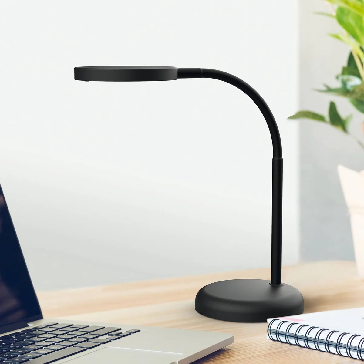 MAULjoy lampe de table LED de Maul en Noir – photo produit