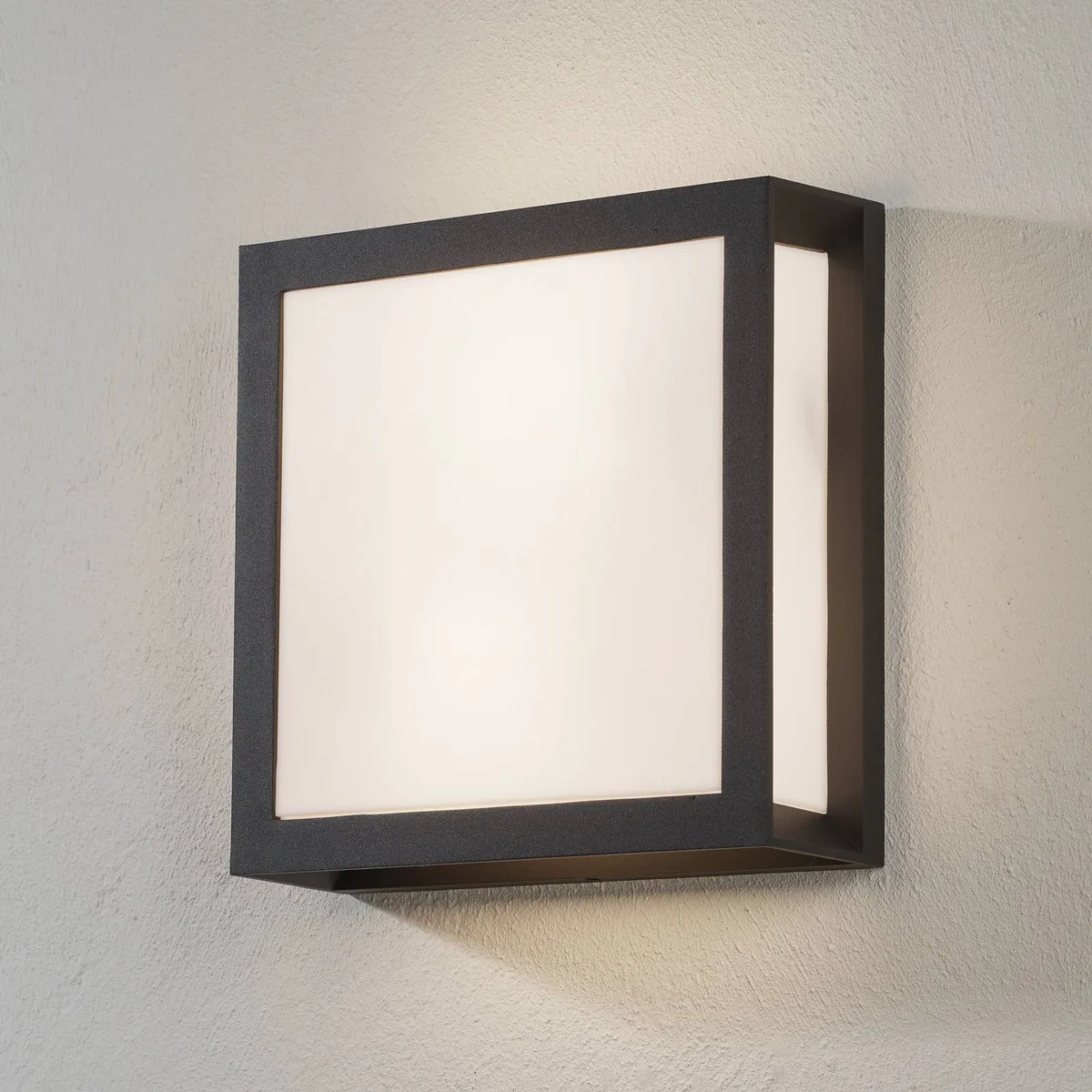 Buitenwandlamp Henry, antraciet IP44 de Orion en Anthracite, Opaalwit – photo produit