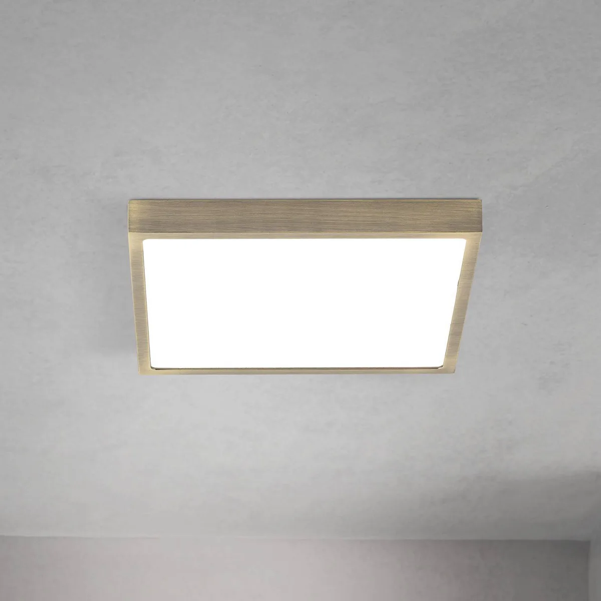 LED plafondlamp Disc, antiek messingkleurig, lengte 24 cm, CCT fra Orion i Antiek messing, Hvid – produktbillede