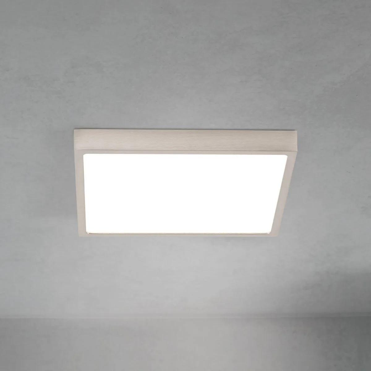 LED plafondlamp Disc, nikkelkleurig gesatineerd Lengte 24 cm CCT de Orion en Nikkel gesatineerd, Blanc – photo produit