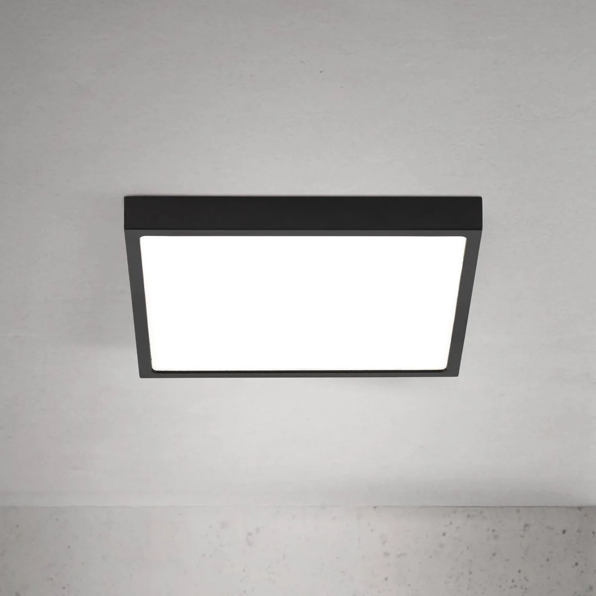 LED plafondlamp Disc, zwart Lengte 24 cm, CCT Metaal von Orion in Schwarz, Weiß – Produktfoto