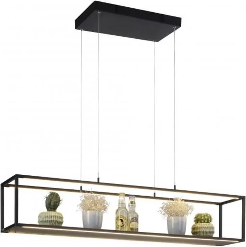 LED Pendelleuchte von Paul Neuhaus in Schwarz – Produktfoto