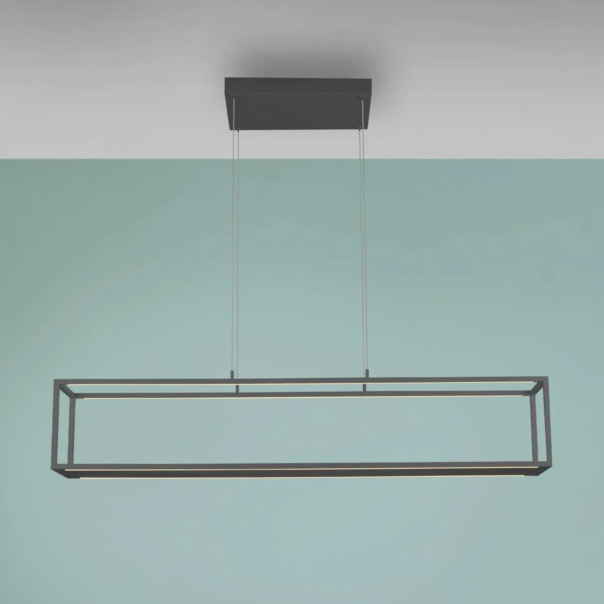LED hanglamp Conni, 130 cm, CCT de Paul Neuhaus en Noir – photo produit