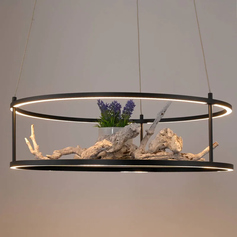 LED hanglamp Conni, Ø 50 cm de Paul Neuhaus en Noir – photo produit