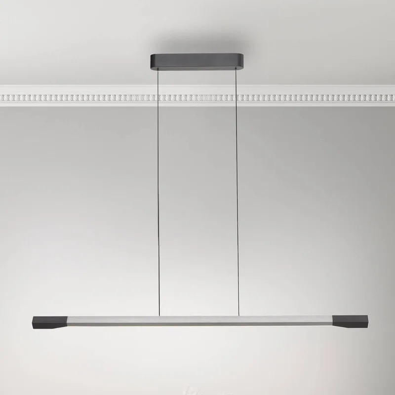 LED hanglamp Hoop, aluminiumkleurig, 128 cm, dimbaar von Paul Neuhaus in Aluminium – Produktfoto